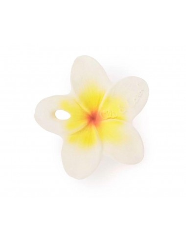 Hawaii The Flower de Oli &...