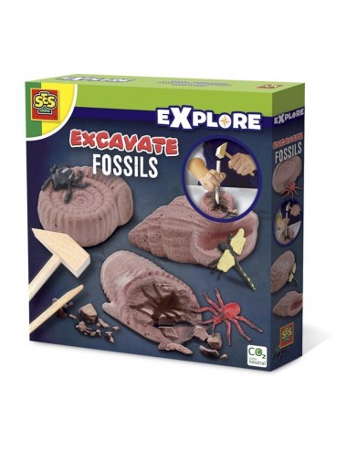 Excavar Fósiles SES