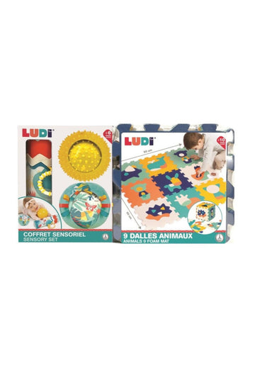 Conjunto de Actividades de estimulación LUDI (130127)