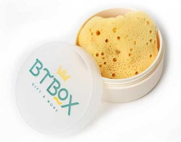 Esponja Bellini S7 + Caja