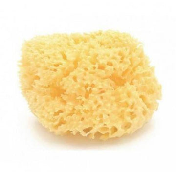 Esponja Natural Bellini Mediterráneo Mediana S10