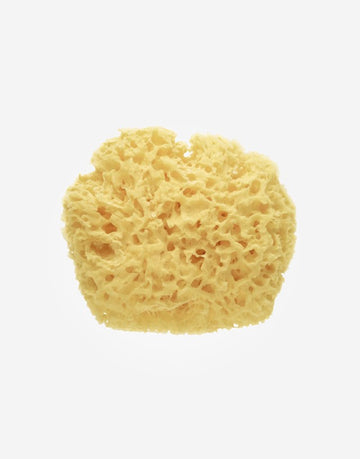 Esponja Natural Premium Saro
