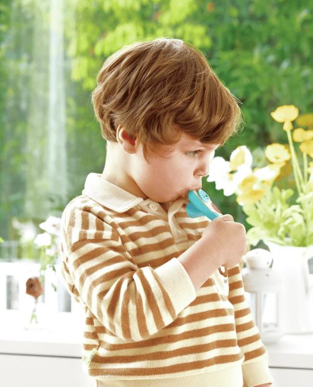 Kazoo de Bolsillo Rhythm & Hum de Hape