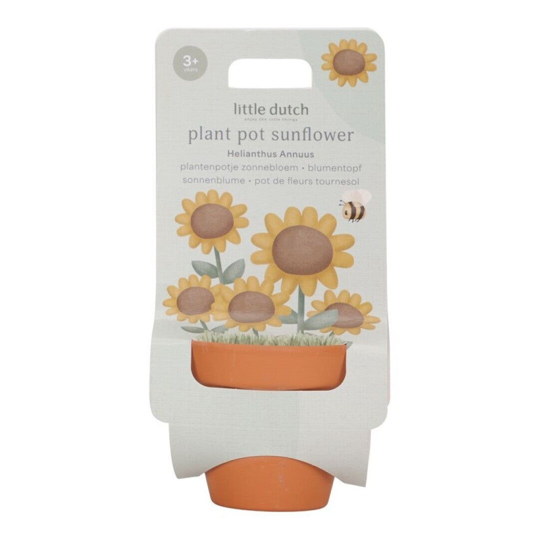 Maceta Planta Un Girasol de Little Dutch