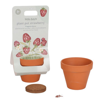 Maceta Planta Fresas de Little Dutch