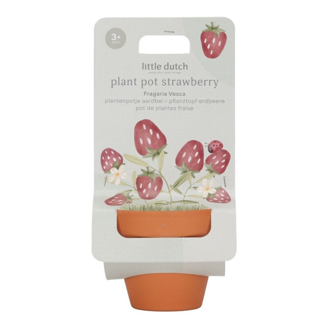 Maceta Planta Fresas de Little Dutch