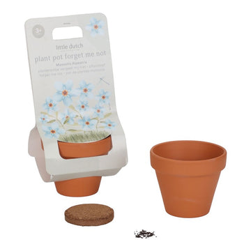 Maceta Planta No Me Olvides de Little Dutch